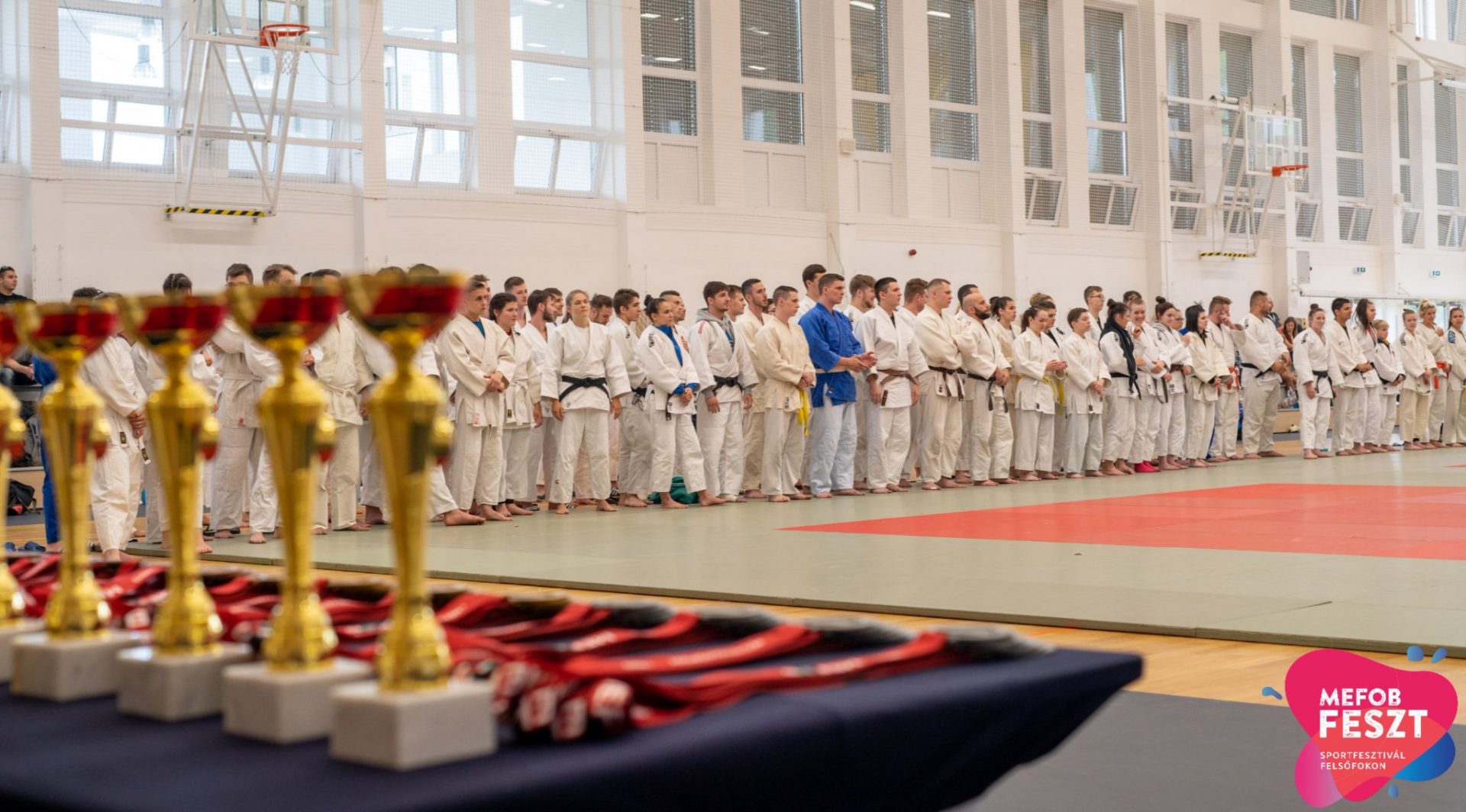 TF-es sikerek a judo MEFOB-on